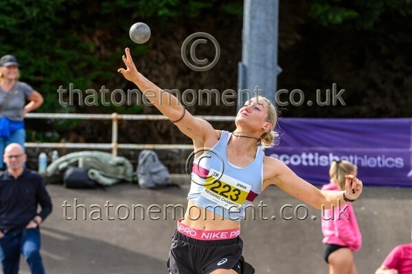 Sen25SUN-929774 - Field Female Set Two