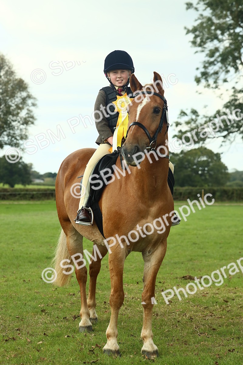 SBM_62546 - S62 - Foreign Breeds Ridden