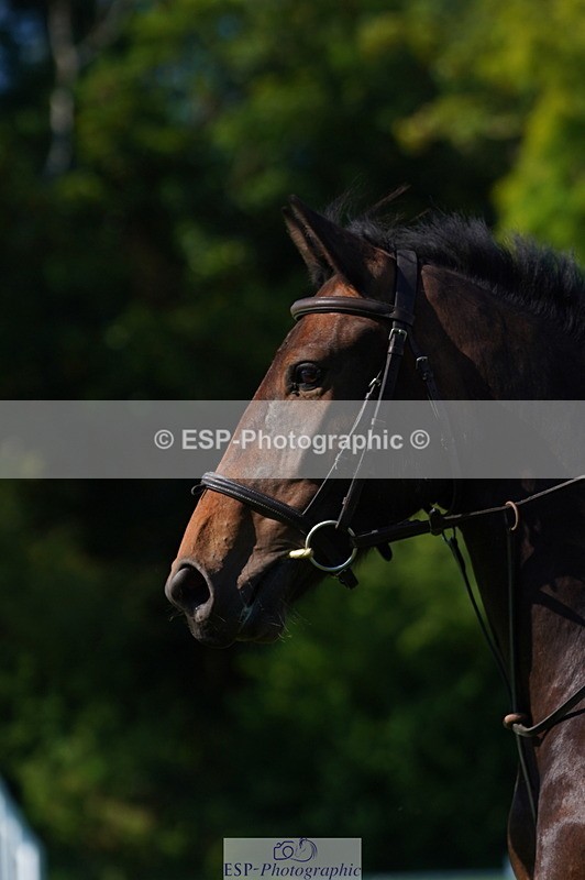 240811A-163556-06348 - 451-