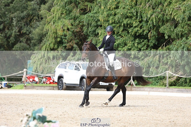 230812-153320-05162 - Cls 5 Novice Bronze 15.00 to End