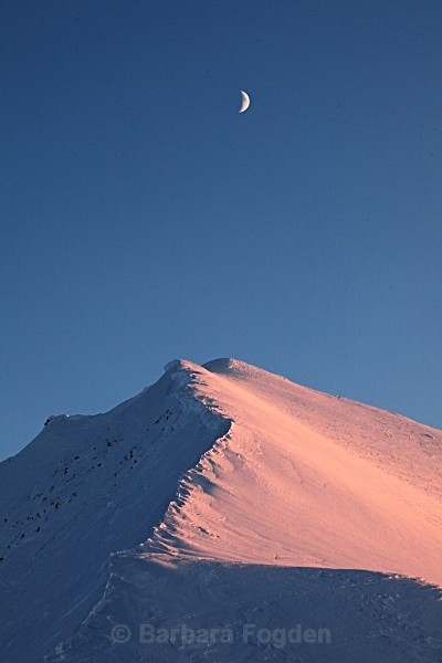 Bergmesterbreen 9442 - The daylight returns