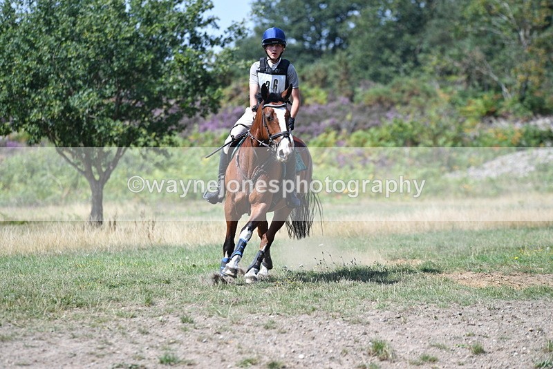 WJ5_2821 - XC Time 12:35 to 12:59