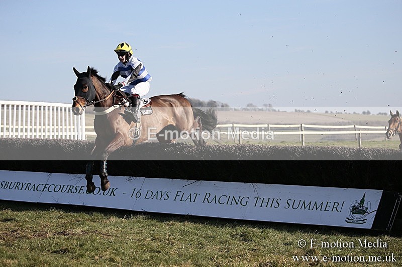 PtP 240218 482 - Vine & Craven Hunt Point-to-Point Barbury racecourse 24/02/18