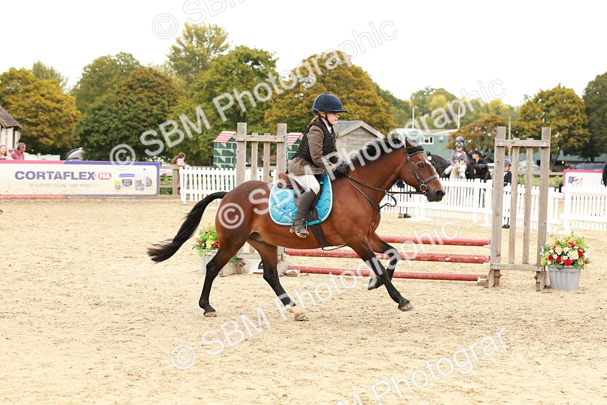 SBM_61885 - J12 - Junior Pony 55cm Championship