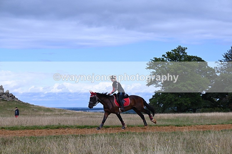 DSC_8917 - Time at Statue 14:33 to 15:10