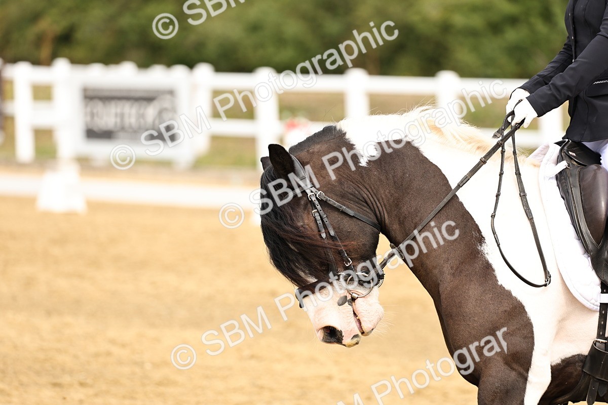 SBM_012337 - Class 2 - Prelim 5