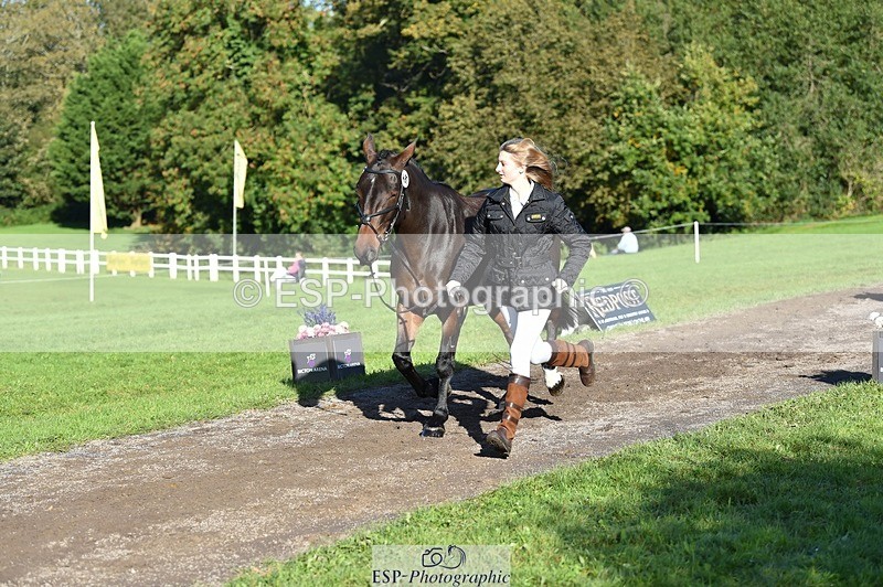 231022-104406-22703 - 481-DUKES.VISION-Abi.Stuart-TrotUp+SJ