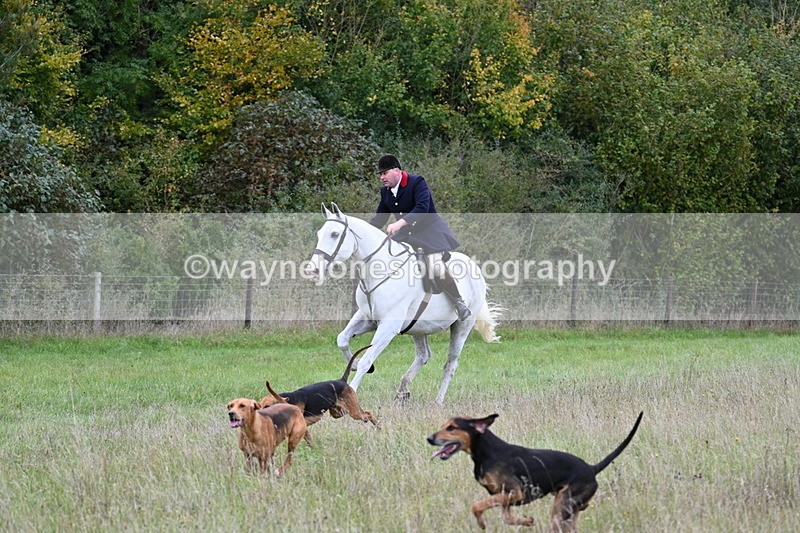 WJ7_3566 - Camera 1 Line 1