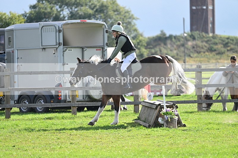 WJ7_4819 - 60cm Time 11:11 to 11:19