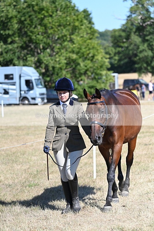 WJ7_1815 - Class 43 Best Six Legs (In hand)