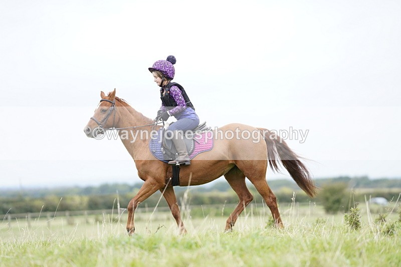 _DSC7279 - Time at Photographer 10:43 to 11:19