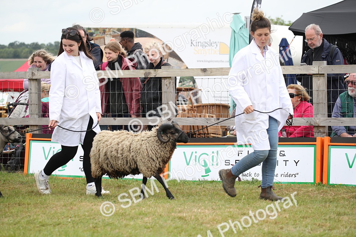 SBM_07811 - Grand Parade