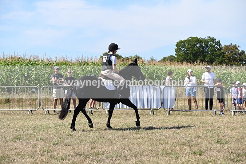 WJ6_8324 - Class 37a Best Loan Pony Ridden