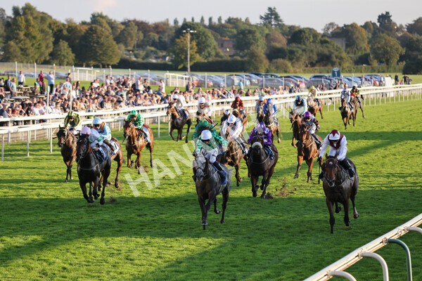 yr08102021r7-22 - Race 7 5.25pm The IRE Incentive, It Pays To Buy Irish Handicap