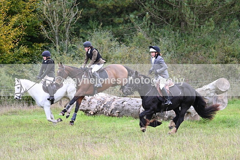 WJ7_3903 - Camera 1 Line 1