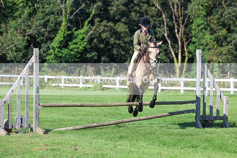 3E7A7730 - Class 2: Open Working Hunter pony