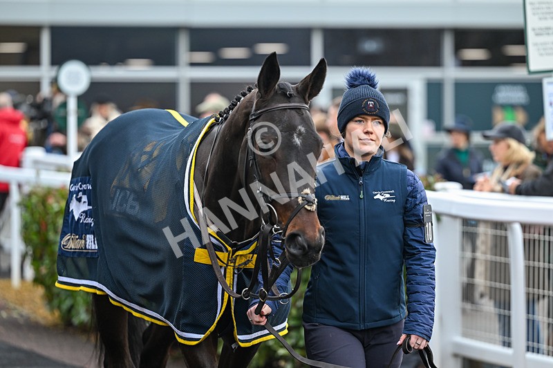 151125-Race 1-Secret Force-1741 - Race 1