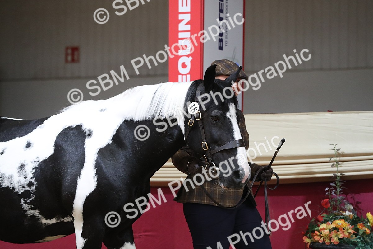 SBM_06209 - Class 9R Regional- IH Pre Vet