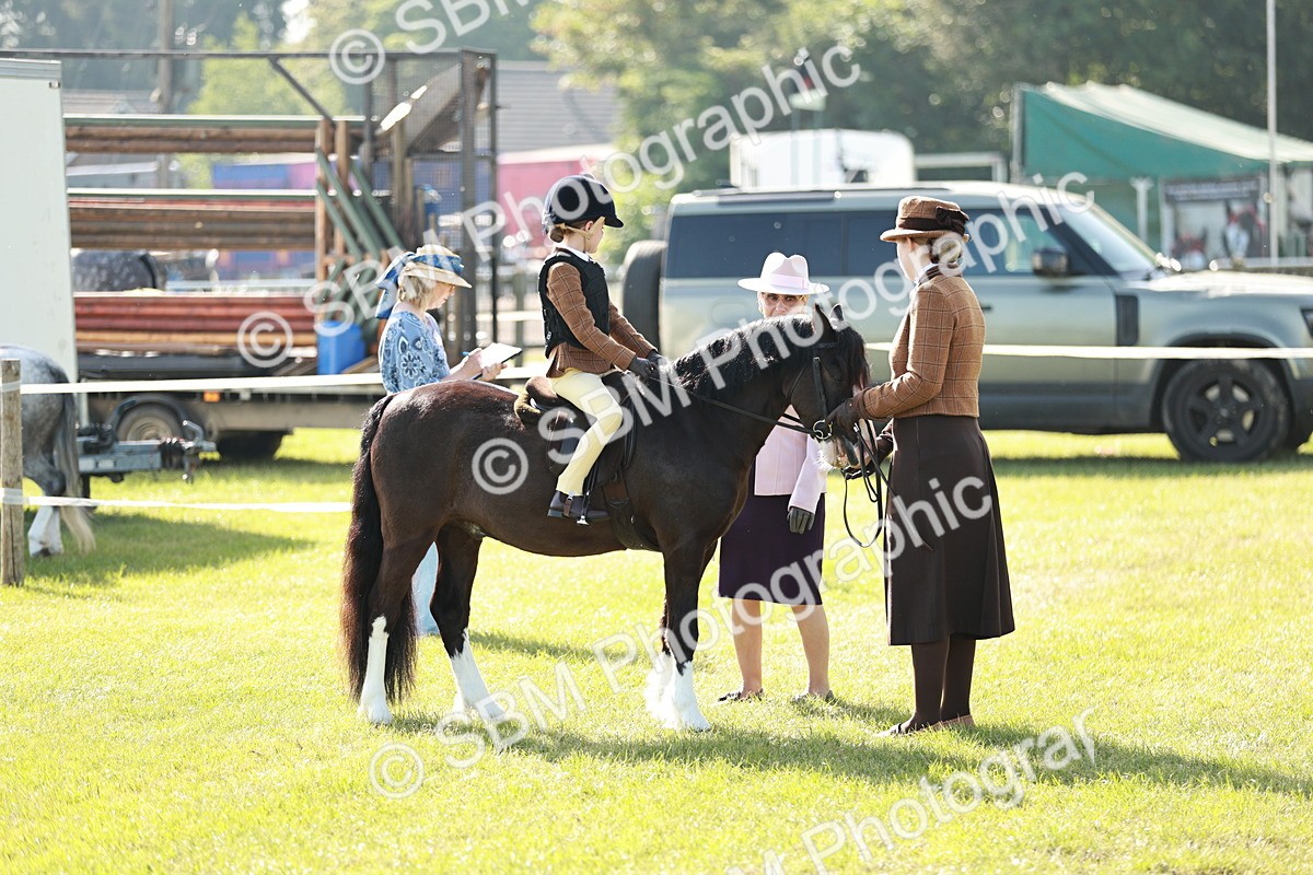 SBM_11278 - Class 106-107 - BSPS LIHS Working Sports Pony