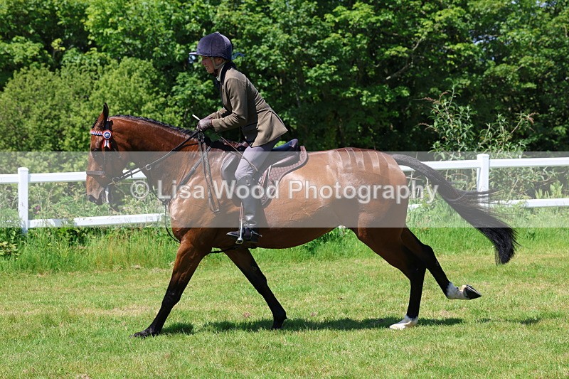 3E7A7535 - Class 31: Working Hunter Cob/Riding Horse