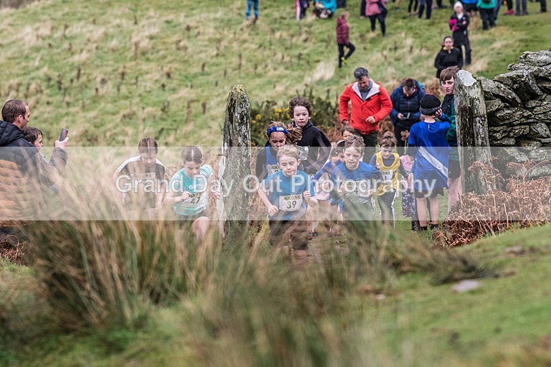 Sale Juniors-50 - Junior Sale Fell Races Sunday 10th November 2024
