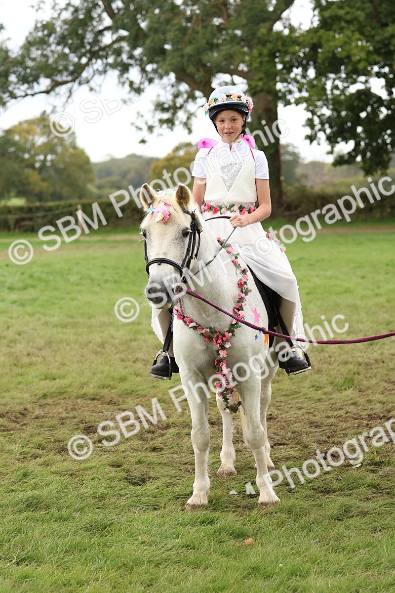 SBM_62172 - S37b - Best Unicorn