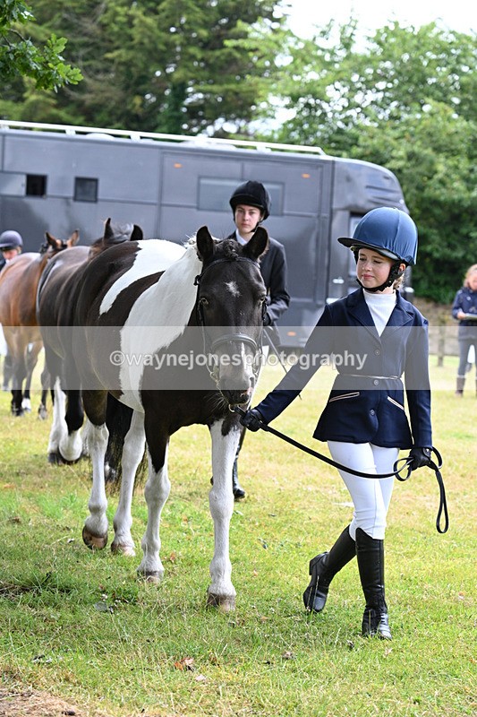 WJ7_6555 - Class 5 Handsome Gelding in hand