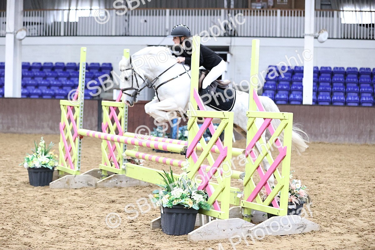 SBM_000273 - Class 2 - Pony British Novice - 80cm Open