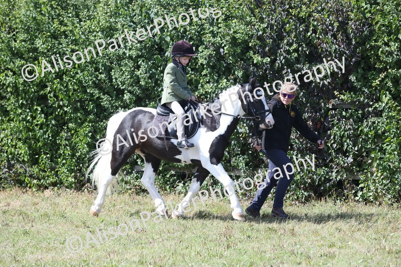 20250831-2668 - Class 17 - Lead Rein Pony