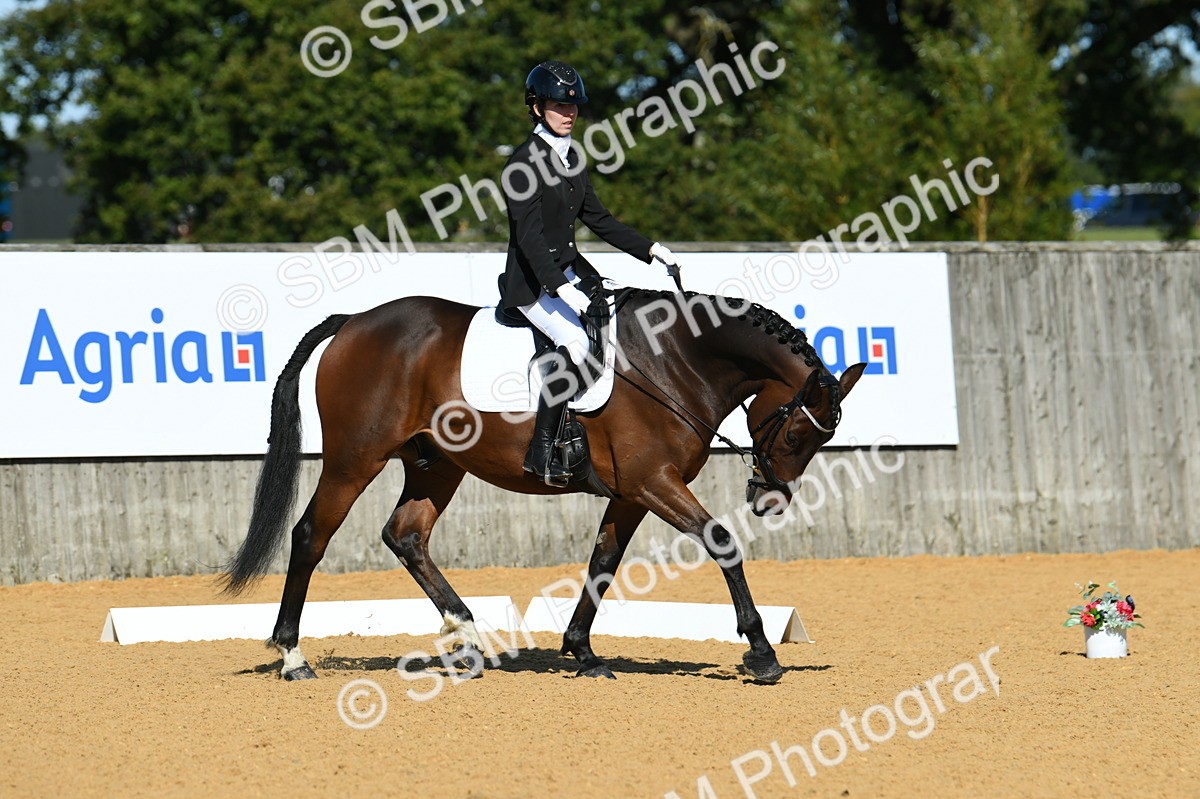 SBM_17997 - D4 - Small Tour Championship - Intro B