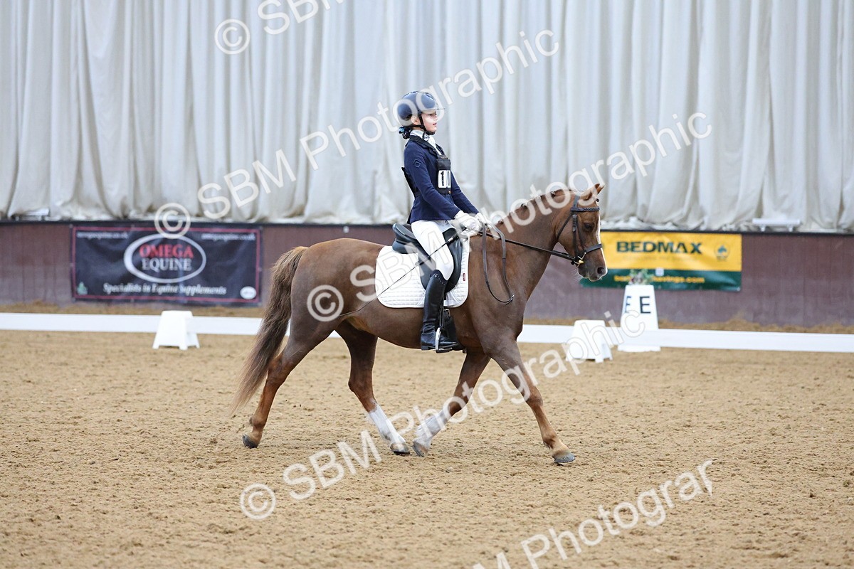 SBM_003662 - Novice