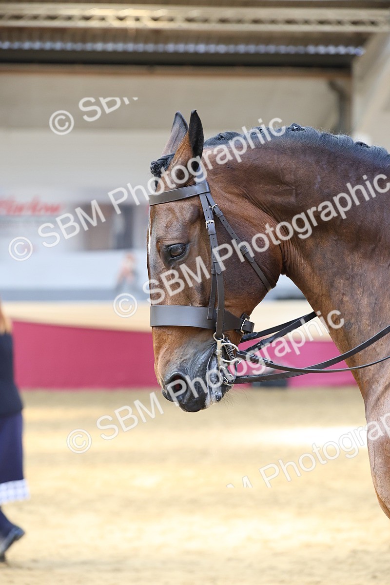 SBM_24134 - Class 905 - Supreme Final - Ridden Veteran