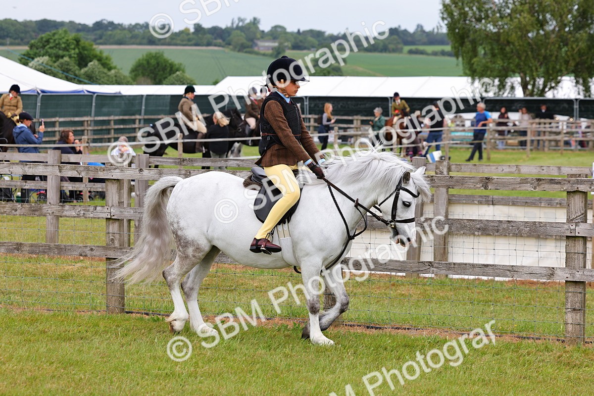 SBM_08531 - Class 42-43 - LIHS BSPS Heritage Working Sports Pony