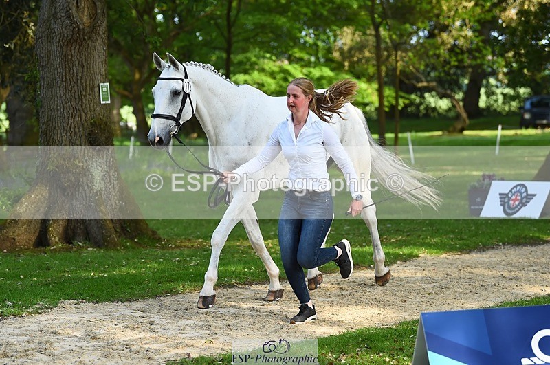 230524-171658-01400 - 172-VELOUMANI_TESS_LY-Aliene_Ruyter-WEDTrotUp+DR