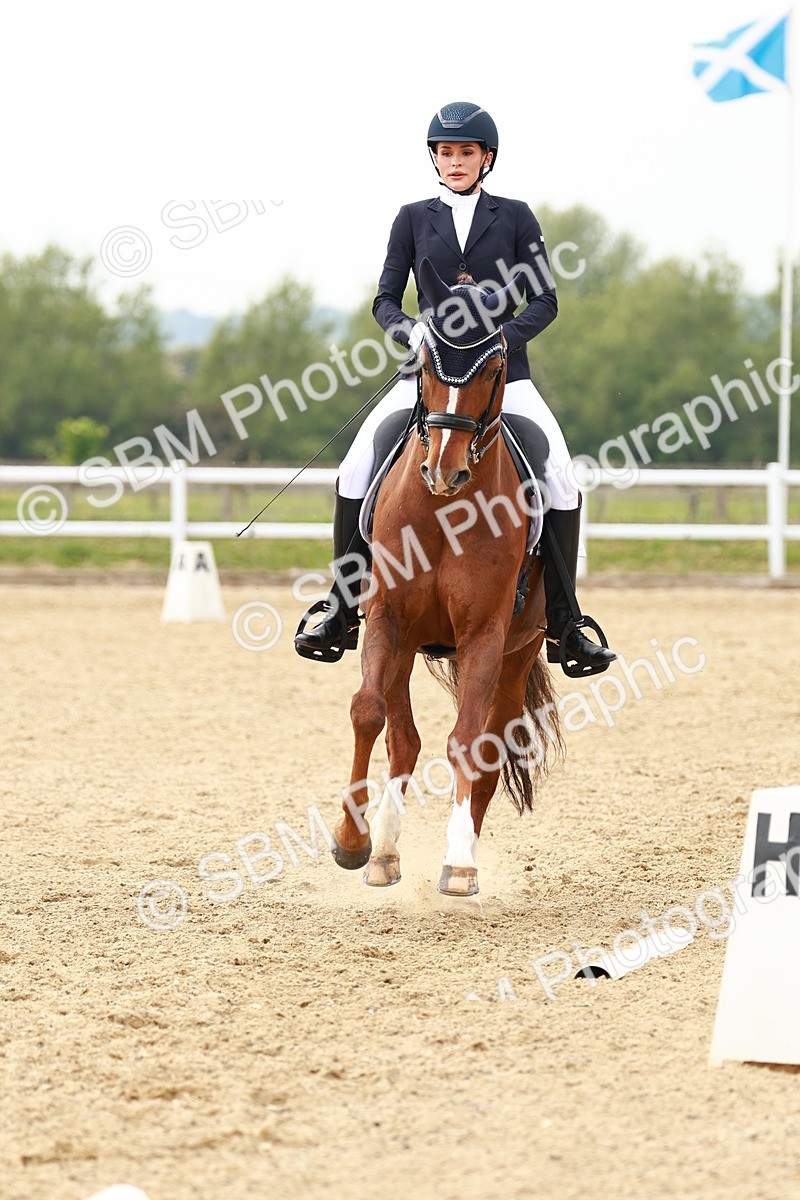 SBM_002775 - Class 12 - Medium 4