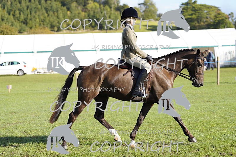 _DSC9422 - Class 8 & 17 Ridden Hunter & Ridden Hunter Pony
