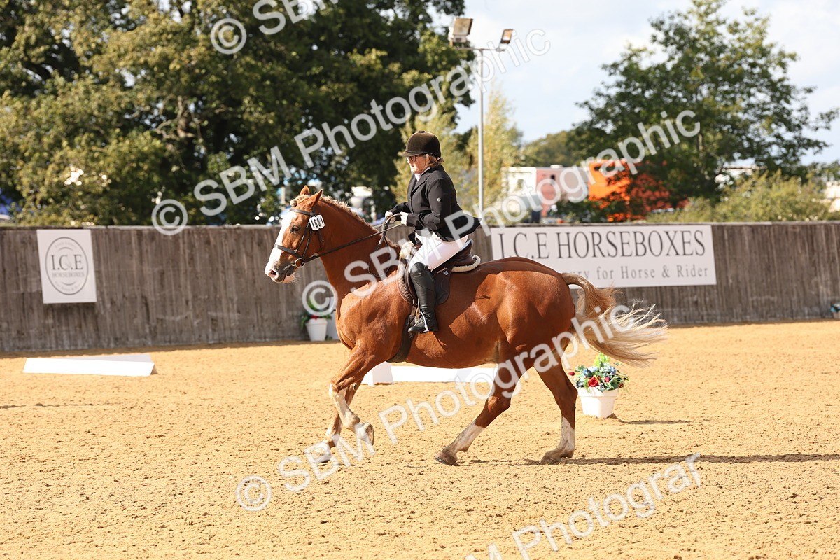 SBM_47546 - D12 - Small Tour Championship prelim 2