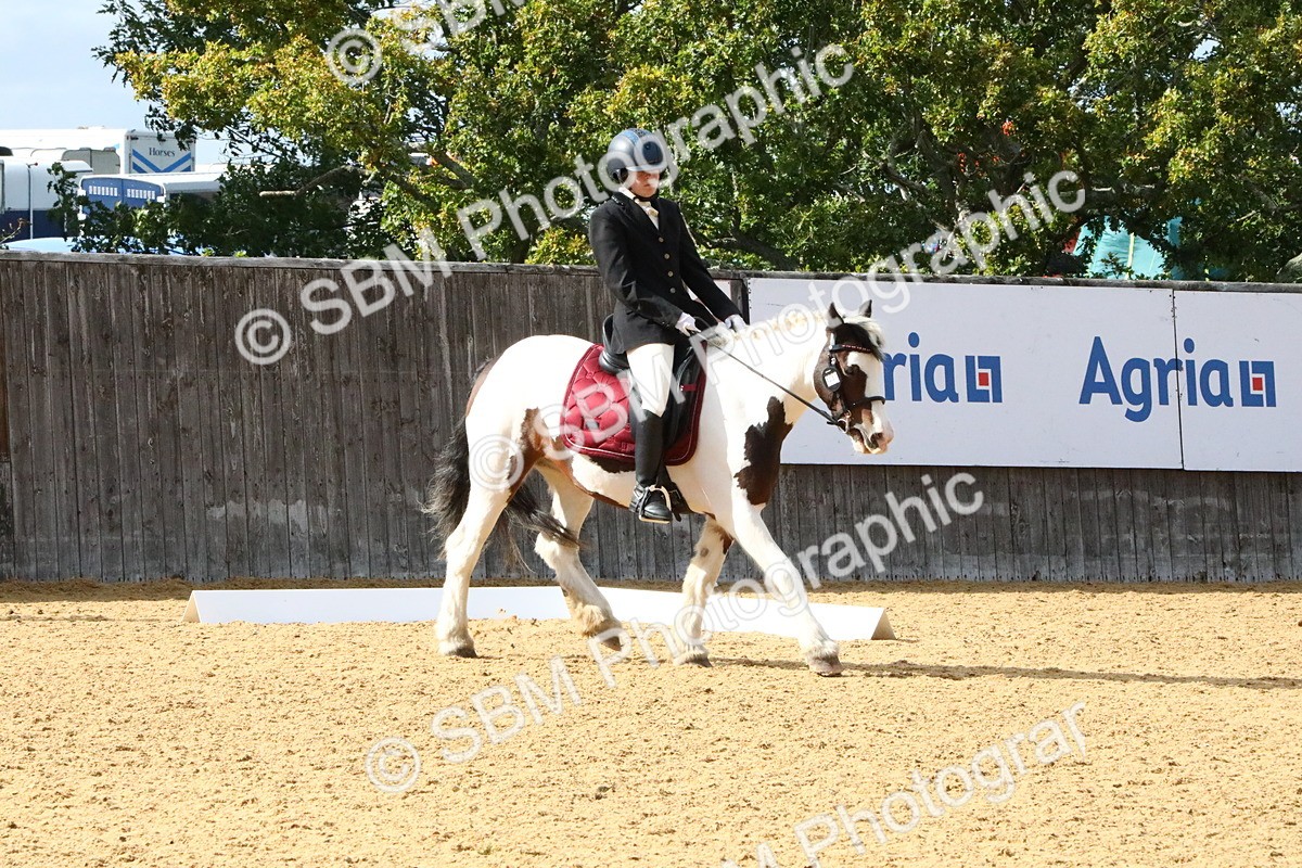 SBM_24482 - D5 - Small Tour Championshop Intro 2