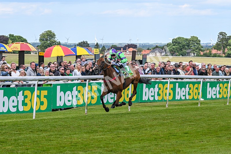 080624-Race 4-Billyb-1230 - Race 4