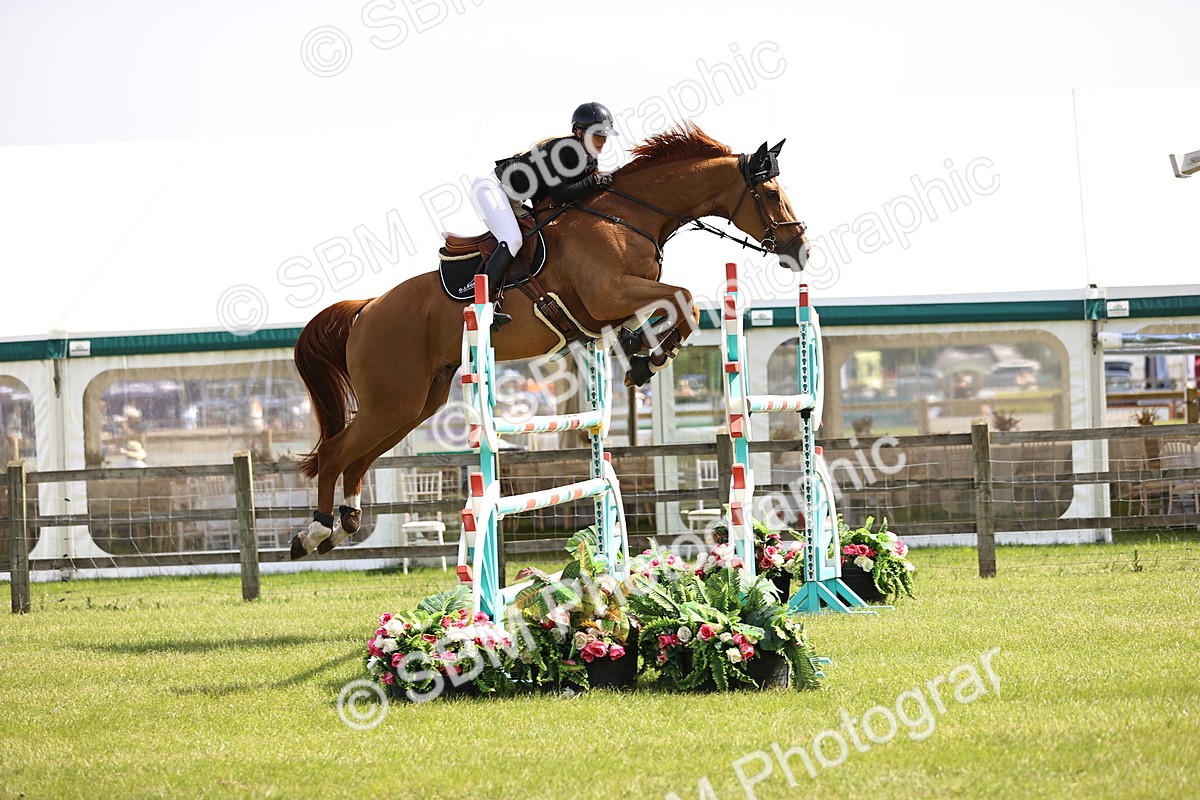 SBM_03109 - Class 201 - British Horse Feedds Speedi Beet HOYS Grade C