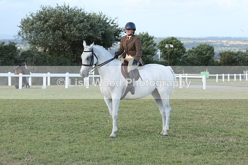 JPP_3707 - Class 24: Open Working Hunter