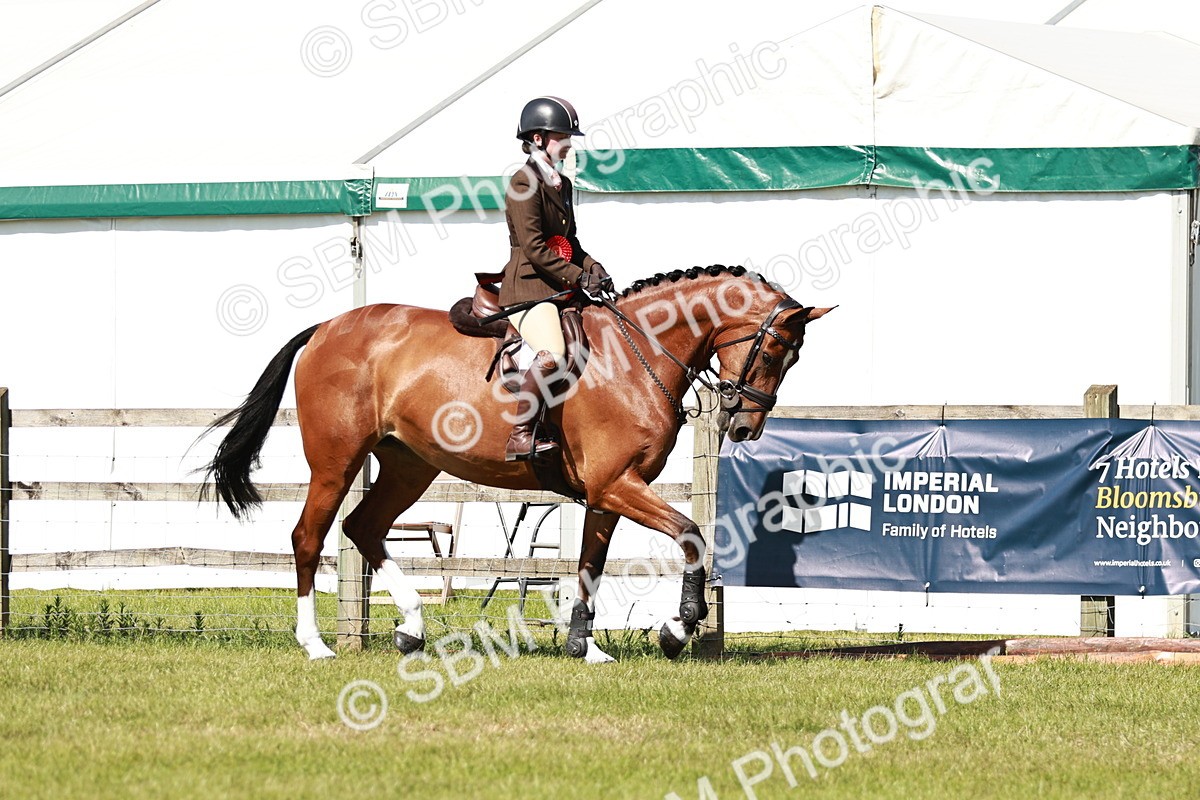 SBM_18506 - Class 112-113 - BSPS LIHS Working Sports Pony
