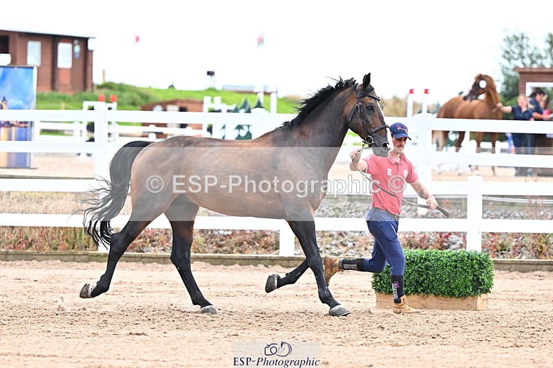 240718A-105326-02018 - Trot Up 2pm to 3pm - This folder is not in time order