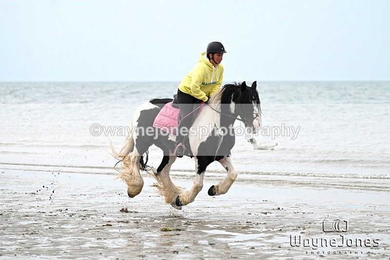 WJ7_9062 - Hayling Island Beach Shoot 22-09-24