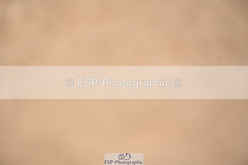 240323A-141702-02145 - UnA Prelim 14