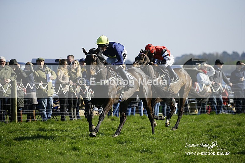 PtP 190322 739 - Wilton Hunt PtP Milborne St Andrew 19/03/22