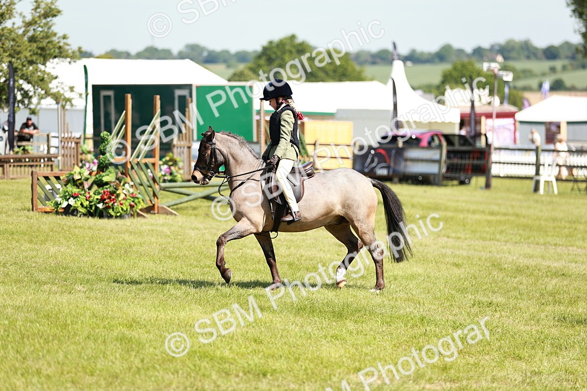 SBM_13494 - Class 108-109 - BSPS LIHS Open Gradle & Nursery Stakes
