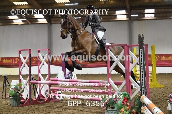 BPP_6356 - CLASS 2  Club/ Unaffiliated 80cms Open