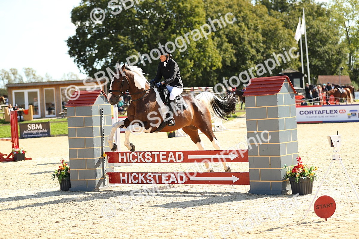 SBM_23883 - J45 - Accumulator 70 80cm