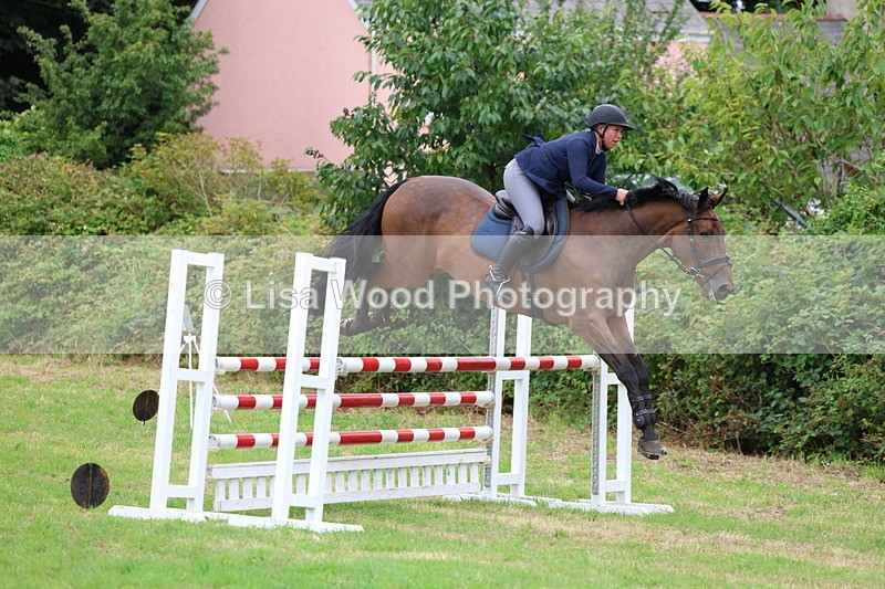3E7A8445 - Class 8: Senior Foxhunter/1.20m open